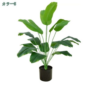 777~OFFN[| tFCNO[ ^ ϗtA A CeA lHϗtA  킢 Lb` rO _CjO Q p lHϗtA CeA st 