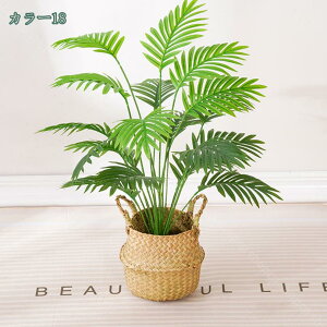 777~OFFN[| tFCNO[ ^ ϗtA A CeA lHϗtA  킢 Lb` rO _CjO Q p lHϗtA CeA st 