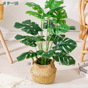 777~OFFN[| lHϗtA tFCNO[ ϗtA  ^ CeA  ze [ j JX JƏj tFCNc[ vX`bN VFt i` J|b