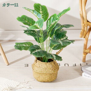 1000~OFFN[| lHϗtA tFCNO[ ϗtA  ^ CeA  ze [ j JX JƏj tFCNc[ vX`bN VFt i` J|b