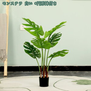 lHϗtA ^ tFCNO[  CeA  O tFCNA CeA  O sv ͂Ȃ tFCNO[ lHϗtA st gsJA lHϗt