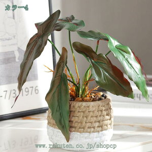 777~OFFN[| lHϗtA ^ tFCNO[ CeA ϗtA   O rO  lH tFCNA p st gsJA Xe sv 