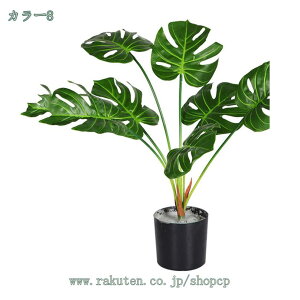 500~OFFN[| lHϗtA tFCNO[ Ex[^ ϗA lHϗt Vv ItBX  CeA ^   lH j ̓  j j JXj q Q