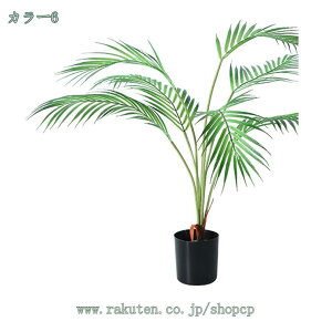 500~OFFN[| lHϗtA tFCNO[ Ex[^ ϗA lHϗt Vv ItBX  CeA ^   lH j ̓  j j JXj q Q