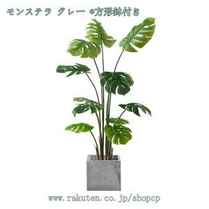 1000~OFFN[| tFCNO[ lHϗtA ^ tFCNA MѐA A ItBX   O z[K[f p tFCNO[ { Vv CeA 