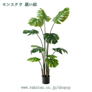 tFCNO[ lHϗtA ^ tFCNA MѐA A ItBX   O z[K[f p tFCNO[ { Vv CeA  lH