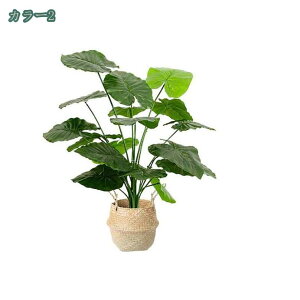 500~OFFN[| tFCNO[ lHϗtA ^ 傫 傫 i` u lHϗtA tFCNO[CeA v[g tFCNO[A  ze ItBX 