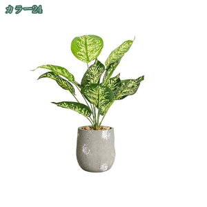 1000~OFFN[| lHϗtA tFCN ^ ItBX tFCNO[ CeA  O tFCNA tFCNO[ t ^ ~͐A a Vz/zj A 