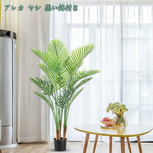 1000~OFFN[| lHϗtA ^ tFCN V̖ tFCNO[ ^ CeA  O tFCNA lHϗtA sv ͂Ȃ ~͐A tFCNO[ A 