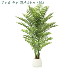 2000~OFFN[| lHϗtA ^ tFCNO[ ϗA lHϗt Vv ItBX  CeA ^  lHϗtA j ̓ j JXj  q Q x