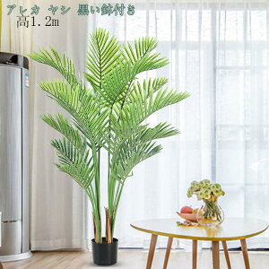 1000~OFFN[| lHϗtA ^ tFCNO[ 傫 傫 i` lHϗtA tFCNO[CeA tFCNO[A  ze ItBX  p st