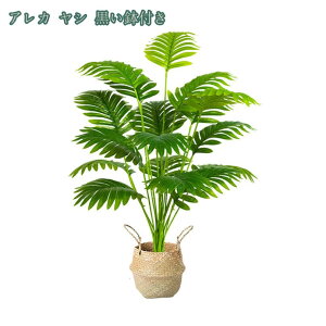 1000�~OFF�N�[�|�� �l�H�ϗt�A�� �A���J���V �t�F�C�N�O���[�� ��^ ���t�� �ϗt�A�� �t�F�C�N�O���[�� �V���v�� ���A�� ���� ������� �����s�v �C���e���A ���� ���r���O �J�X�j�� �V�z�j