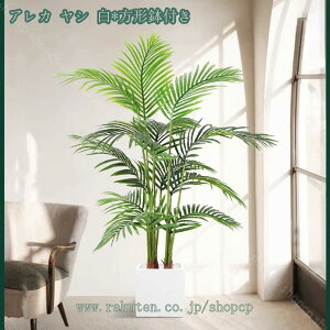 tFCNO[ ^ lHϗtA RŃA ϗt CeA ȒP  ƒ 悯oRj[  CeA z̃Mtg fR[V gsJA Iȑ t