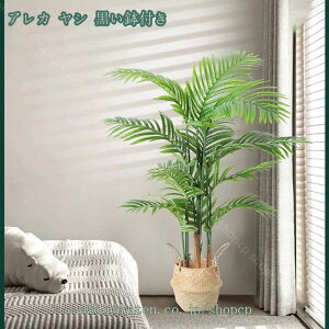 1000~OFFN[| lHϗtA tFCN ^ tFCNA tFCNO[ ItBX tFCNO[ CeA  O t ^ ~͐A a Vz/zj A 