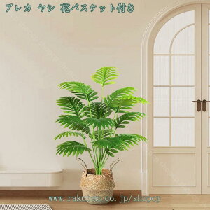 1000~OFFN[| tFCNO[ ^  lHϗtA  rO  CeA  ItBX j Vzj JXj JƏj a Cxg A {^jJ tF