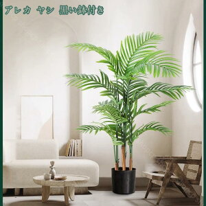 lHϗtA ^ tFCNO[ 傫 傫 i` lHϗtA tFCNO[CeA tFCNO[A  ze ItBX  p st gsJA 