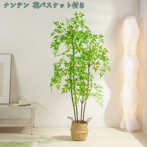 1000~OFFN[| lHϗtA ^ CeA  O A ItBX z[ fR[V ϗtA lHϗtA tFCNO[ A t AJV CeA  b