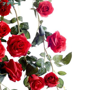 500~OFFN[| Ǌ|  t[AWg ֏ hA CeAG  ؐt[ u Ebh̃t[  tFCNO[ rO gC 