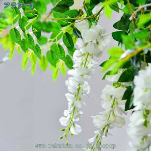 Ǌ| tFCNO[ lHϗtA  Ηt  V ݂艺 CeA AeB[N tFCN Ǌ| A  p[eB[  ͂Ȃ Vbv } z[ ItBX J