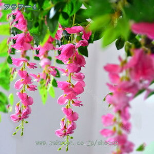 Ǌ| tFCNO[ lHϗtA  Ηt  V ݂艺 CeA AeB[N tFCN Ǌ| A  p[eB[  ͂Ȃ Vbv } z[ ItBX J