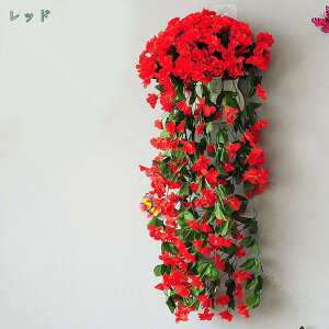 1000~OFFN[|  Ǌ| ͂Ȃ 邢F ϗtA { CeA tFCNO[ t[AWg EH[t[ EH[O[ A[gpl N