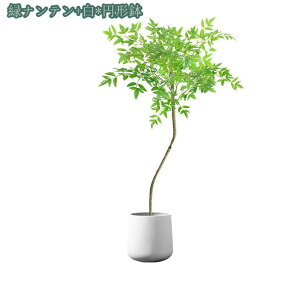 2000~OFFN[| lHϗtA ^ ItBX z[ fR[V ϗtA lHϗtA tFCNO[ A t CeA A AJV  O CeA  b