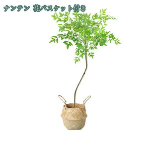 1000~OFFN[| lHϗtA tFCNO[ i` RŃA st ϗtA ^ CeA  ze [ A lHϗtA ^ Aؔ Xe Ce