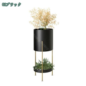 1000~OFFN[| v^[X^h ACA ԑ  t[X^h   60cm ϗtA I 2i t[bN    |bg X^h X sN O[ ϗt A 