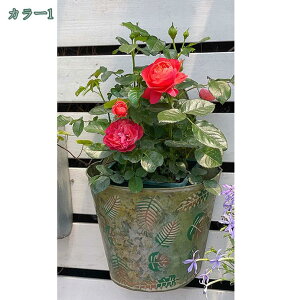 |bgnK[ nMO K[fjO |bgJo[ Jo[ Ǌ| _炩A v^[ |bg [sA X^C ACA v^[ ~` Ǌ| Aؔ bN 