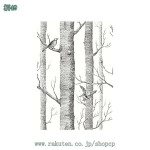 500~OFFN[| ǎV[ \Ă͂ V[g JbeBOV[g CeA   Lb` V[ CNV[g ǎV[ C DIY  ^C  C h ̂t 