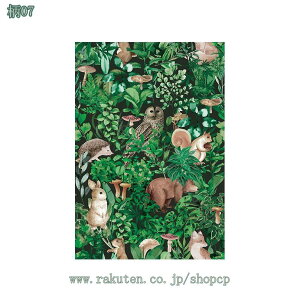 500~OFFN[| ǎV[ \Ă͂ V[g JbeBOV[g CeA   Lb` V[ CNV[g ǎV[ C DIY  ^C  C h ̂t 