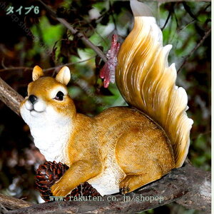 1000~OFFN[| K[fI[ig Aq ETM K[fjO u K[fjOG K[fIuWF AEghA   fR[V 킢  CeA [g[