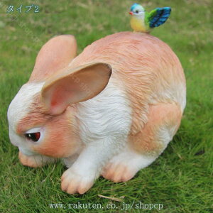 K[fI[ig Aq ETM K[fjO u K[fjOG K[fIuWF AEghA   fR[V 킢  CeA [g[̑ Aq X