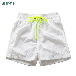 1650~OFFN[| T[t j Y  T[tpc Cp Ci[t 傫TCY YT[tpc Cpc Y Cp YT[tpc gNX G EG