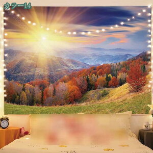 300~OFFN[| ^yXg[ k i X CeA  iF ʐ^ _ [bp 唻 傫   wiz CeA z e[N wi Ԏd؂ J[e Q 