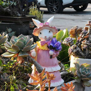 1000~OFFN[|  K[fpIuWF 킢 뒤̑ ETM [Ăɂ񂮒u ގ z[K[f fXN fXNgbv R[q[Vbv | ̕i