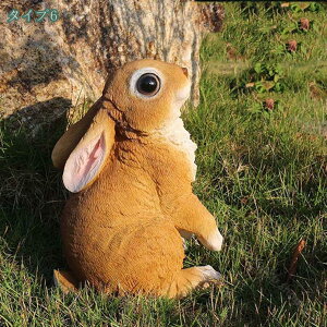 1000~OFFN[| u ETM ގ K[fI[ig  Vzj i K[fu tBMA fXNgbv A[g fBXvC uK[fjO 