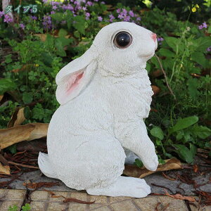 1000~OFFN[| u ETM ގ K[fI[ig  Vzj i K[fu tBMA fXNgbv A[g fBXvC uK[fjO 