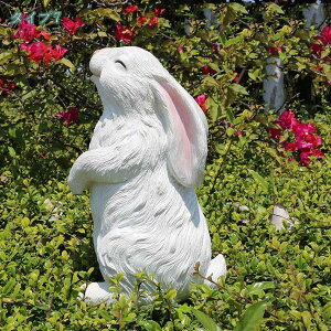 1000~OFFN[| u ETM ގ K[fI[ig  Vzj i K[fu tBMA fXNgbv A[g fBXvC uK[fjO 