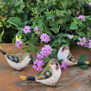 K[fjOG AeB[N fR[V H|i K[fI[ig Rg 킢 CeA G  CeA ̒ ގ ͋Co fXNgb