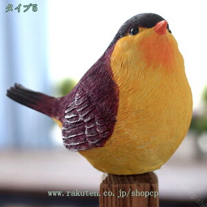 K[fjOG AeB[N fR[V H|i K[fI[ig Rg 킢 CeA G  CeA ̒ ގ ͋Co fXNgb