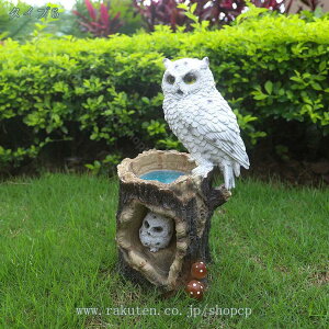 1000~OFFN[| K[fjO K[fI[ig u IuWF CeA ̑ K[fIuWF 킢 \[[Cg tNE  JG T K[fCg A[g