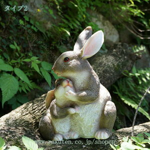 1000~OFFN[| u CeA ẽCeAG v[g Mtg  K[fI[ig  Jg[ 蕨   OC   G  Ki o a 