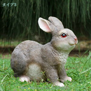 1000~OFFN[| u CeA ẽCeAG v[g Mtg  K[fI[ig  Jg[ 蕨   OC   G  Ki o a 