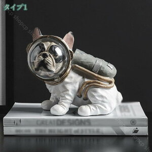 1000~OFFN[| ̒u  茢 _ j[Nȑ t`uhbOMtg u H|i Fs z[CeA  ̑ hbO I  k r