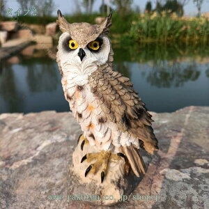 300~OFFN[| tNE̒u ӂ낤  Ƃ  I[ig  IuWF K[f K[fjO u N G  i` A fBXvB Aj}IuW 