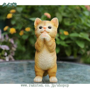 L K[fjOu Lbg z[CeA i ̑ ̒u K[fjOG  ͋Co z[fR[V H|i  kObY L 