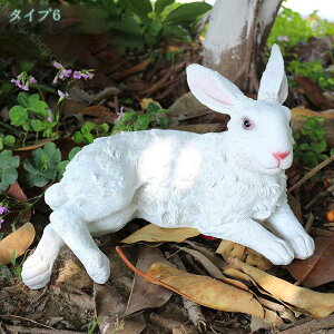 1000~OFFN[| CeAG IuWF ETM K[f K[fjOu e Op i ̒u ɒu̒u K[fG K[fu S 蕨 u