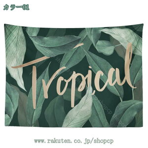 kins ^yXg[ Ǌ| Ǐ CeA EH[A[g ^Cv @\ z|X^[  J[e Ԏd؂ 唻  nEB _ 㕗 JtF X G 