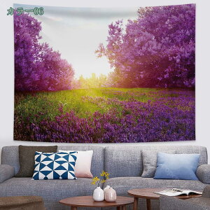 k ^yXg[ CeA Ǌ| ǉ ^yXg[@\ pi _A[g ͗lւ  J[e /J[e ͗lւ _ Ԏd؂ ȒPBep z 